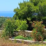 Aloni Retreat