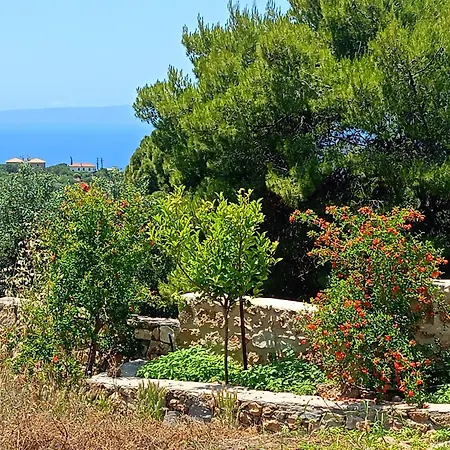 Aloni Retreat