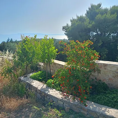 Villa Aloni Retreat