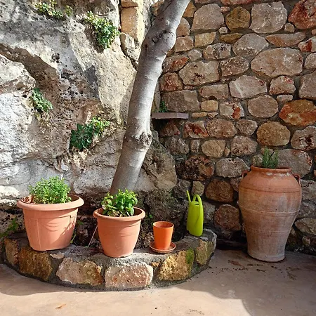 Aloni Retreat