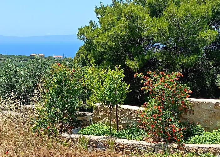 Aloni Retreat