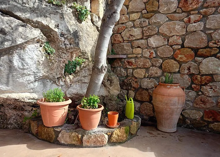 Aloni Retreat